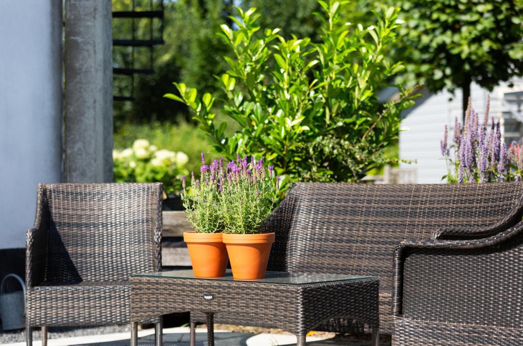 Boerenhofstede De Overhorn Weesp Ngoại thất bức ảnh